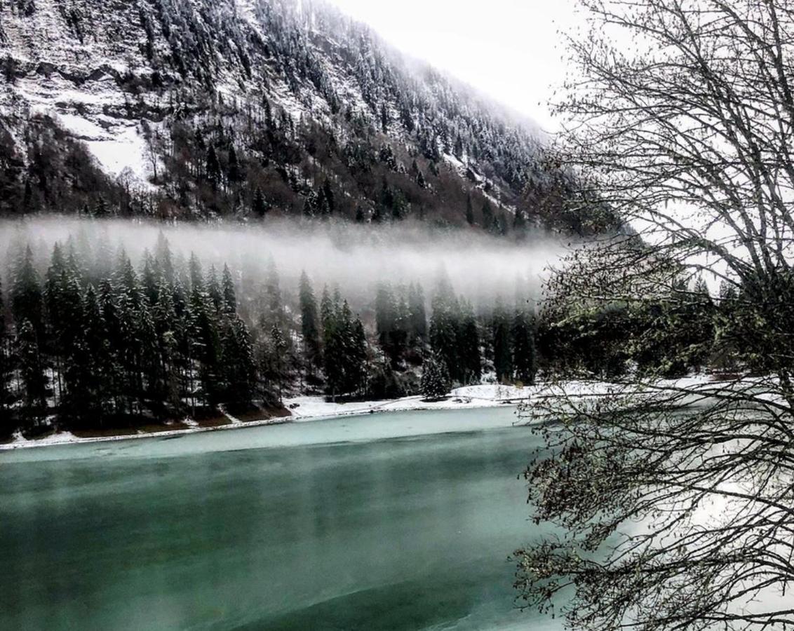 Micro-Lodge, Le Petit Nid D'Amour Montriond Exterior foto