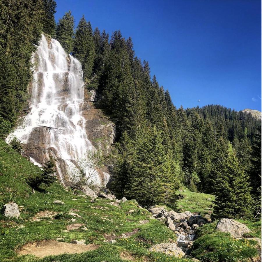 Micro-Lodge, Le Petit Nid D'Amour Montriond Exterior foto