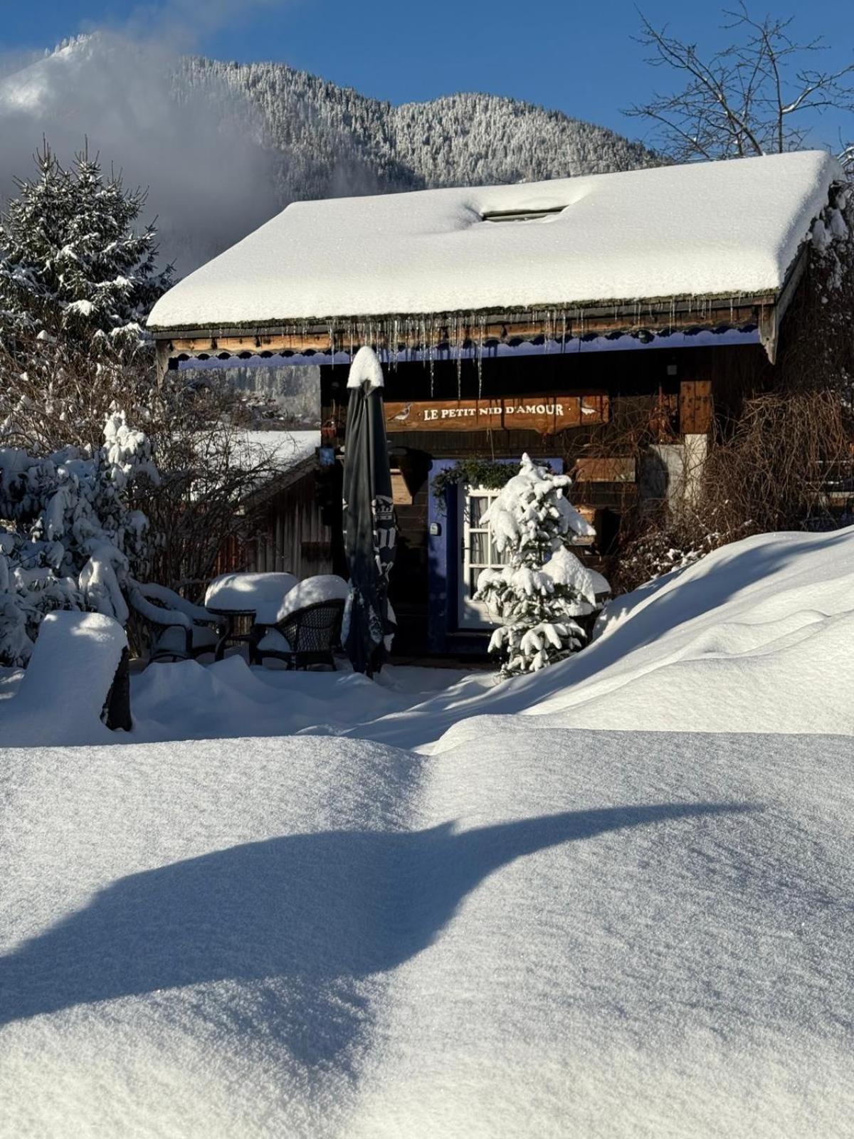 Micro-Lodge, Le Petit Nid D'Amour Montriond Exterior foto
