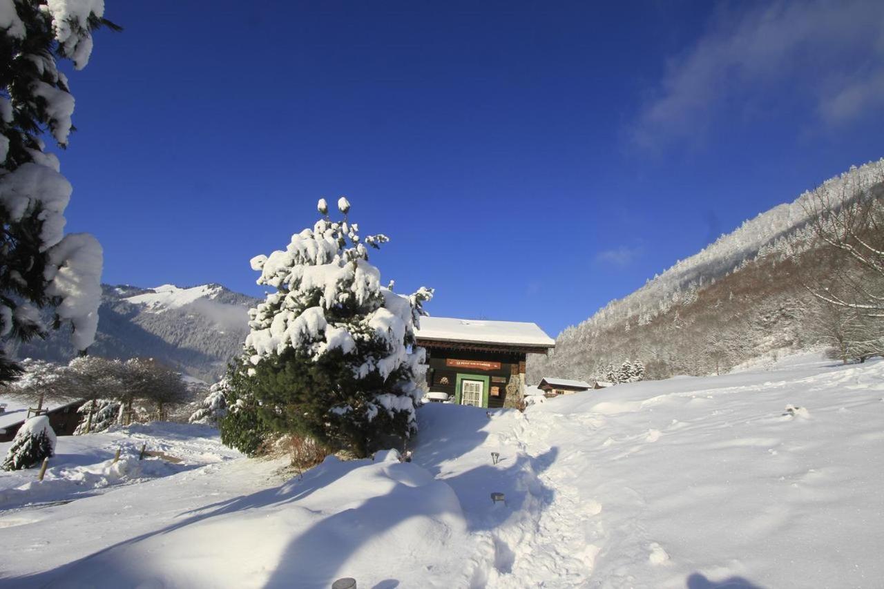 Micro-Lodge, Le Petit Nid D'Amour Montriond Exterior foto
